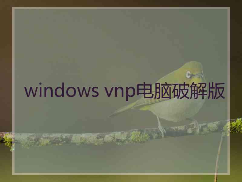 windows vnp电脑破解版