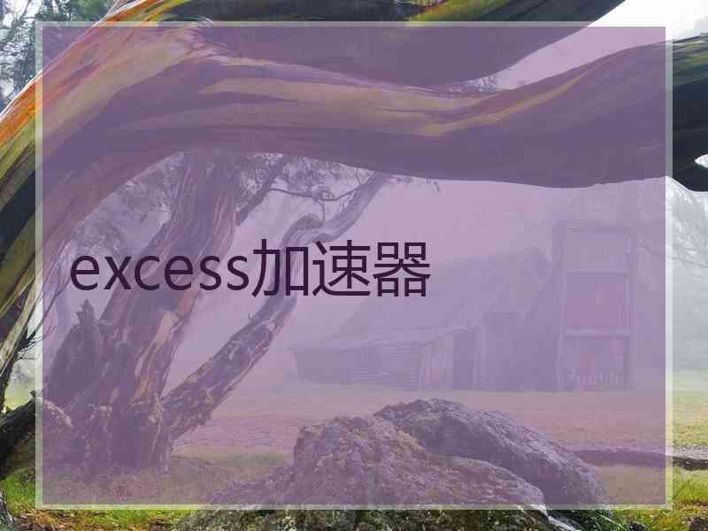 excess加速器