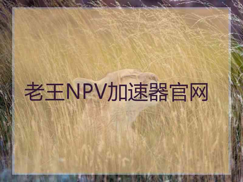 老王NPV加速器官网