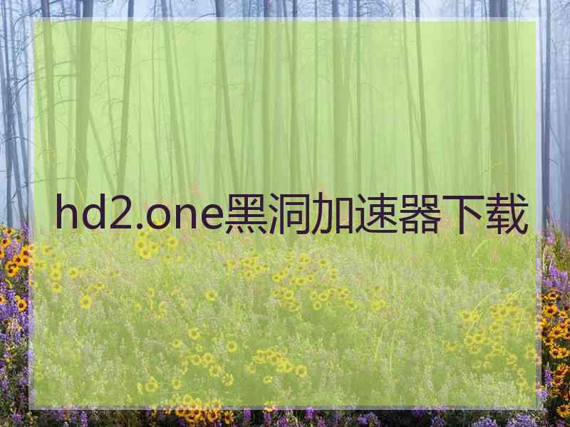 hd2.one黑洞加速器下载