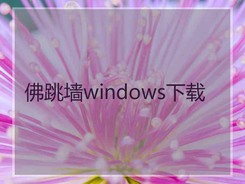 佛跳墙windows下载