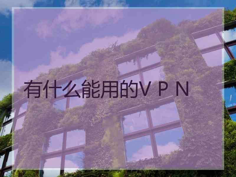 有什么能用的V P N