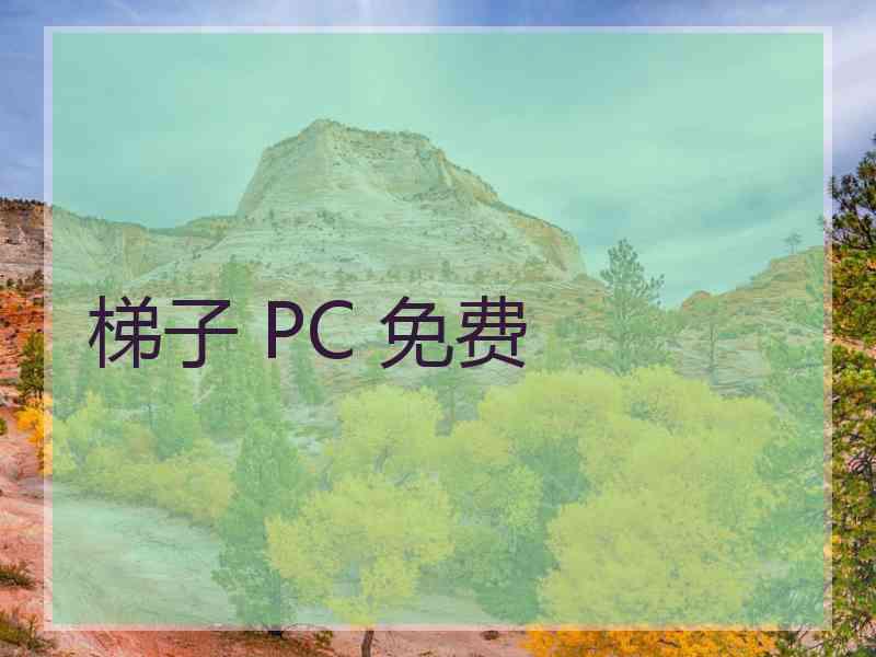 梯子 PC 免费