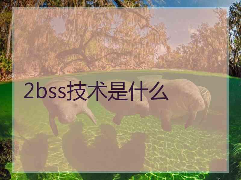 2bss技术是什么