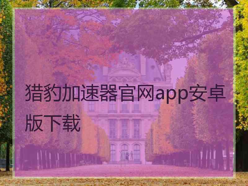 猎豹加速器官网app安卓版下载