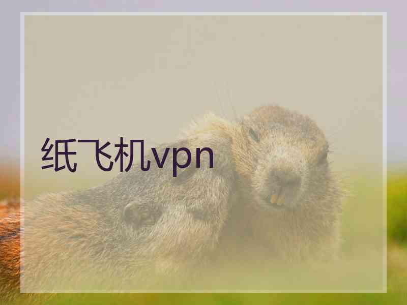 纸飞机vpn