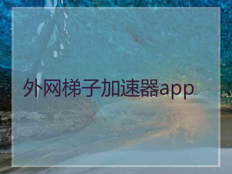 外网梯子加速器app