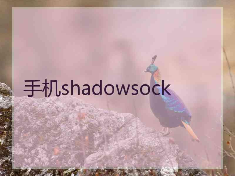 手机shadowsock