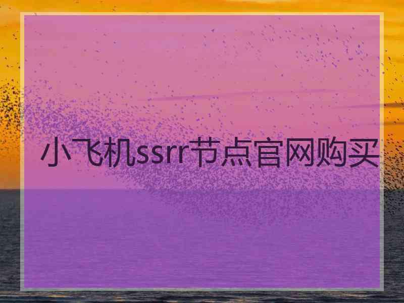 小飞机ssrr节点官网购买