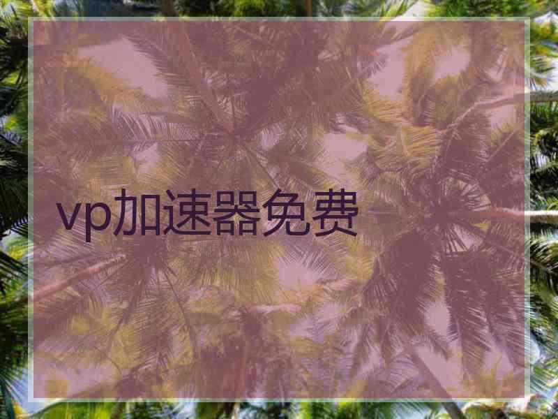 vp加速器免费