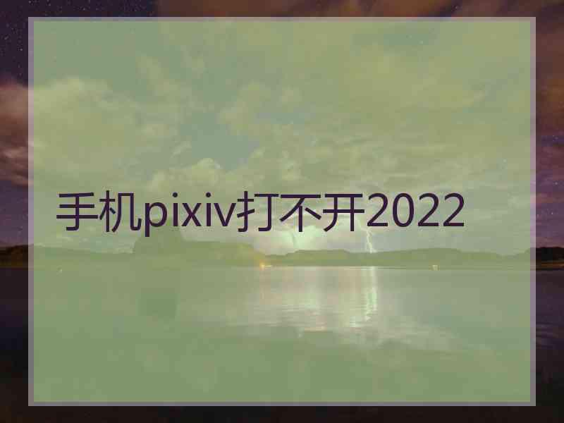 手机pixiv打不开2022