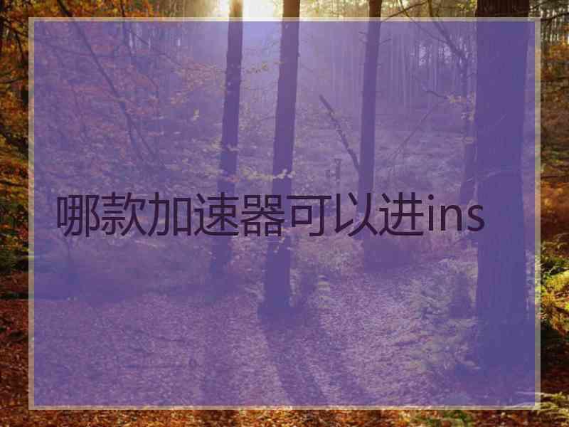 哪款加速器可以进ins