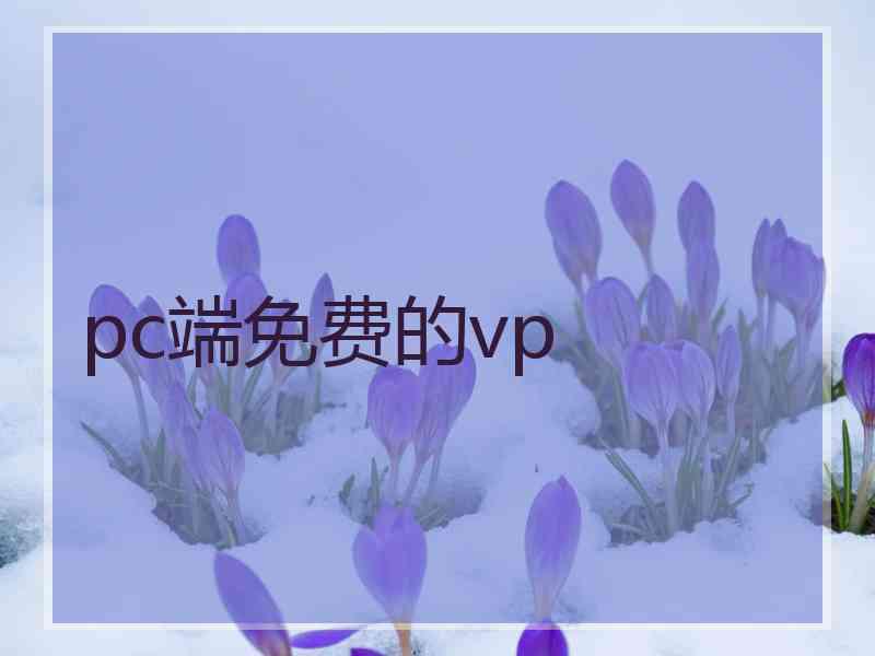 pc端免费的vp