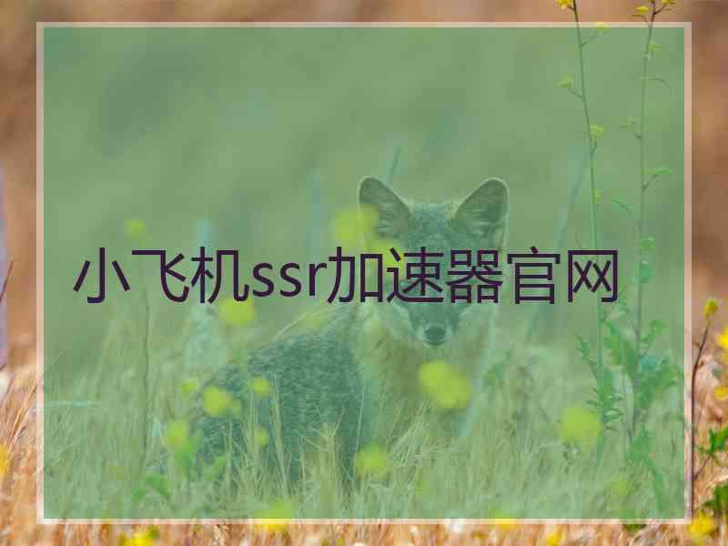 小飞机ssr加速器官网