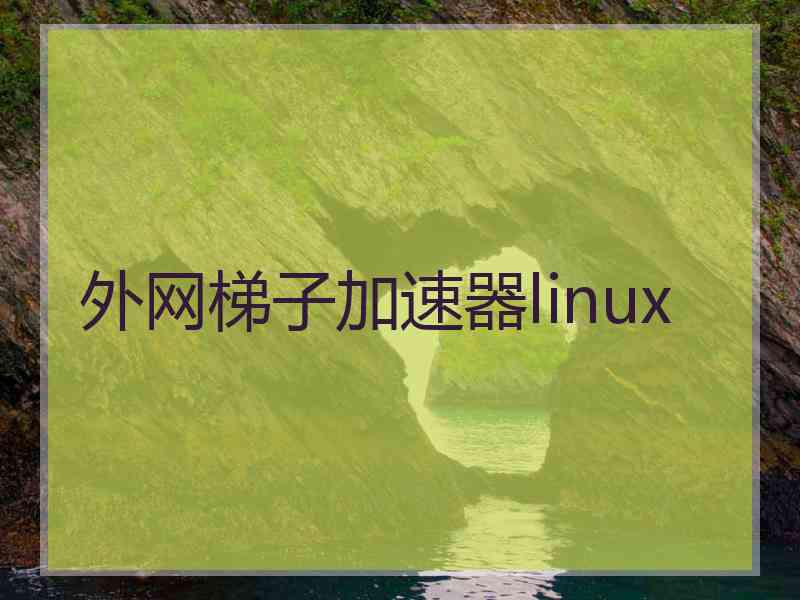 外网梯子加速器linux