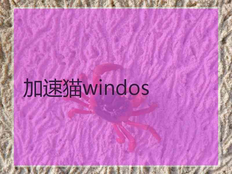 加速猫windos