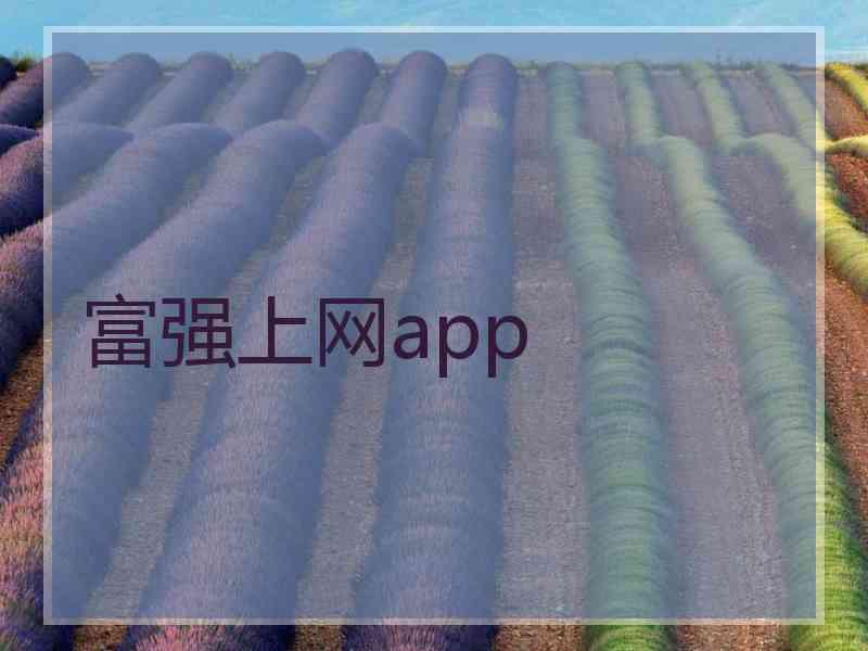 富强上网app