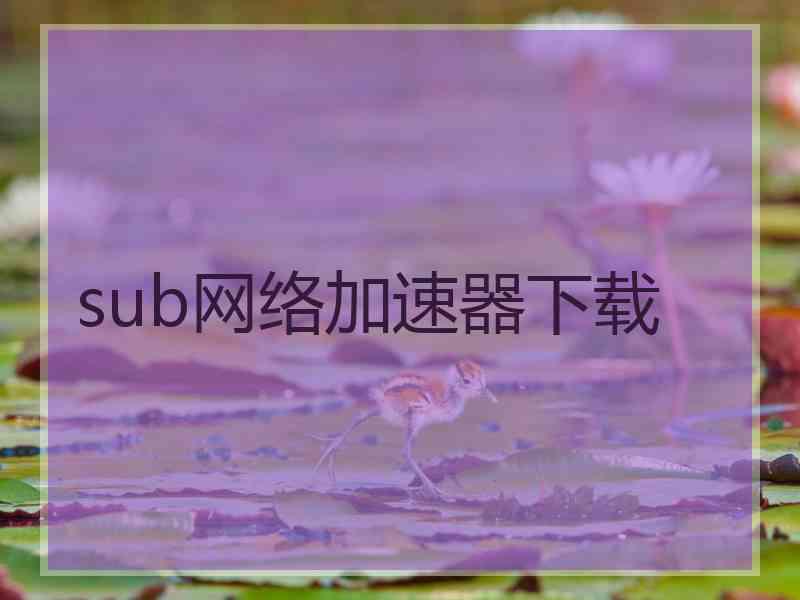 sub网络加速器下载