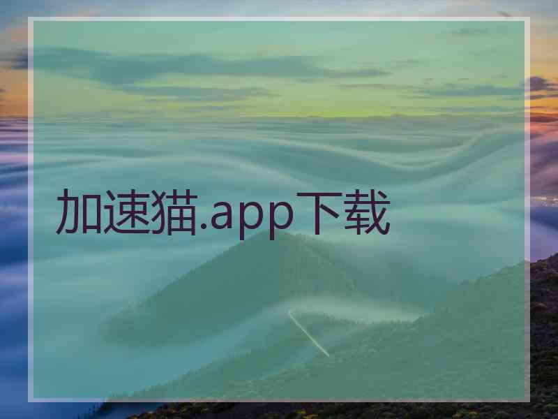 加速猫.app下载