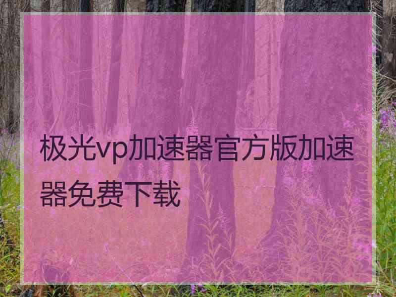 极光vp加速器官方版加速器免费下载