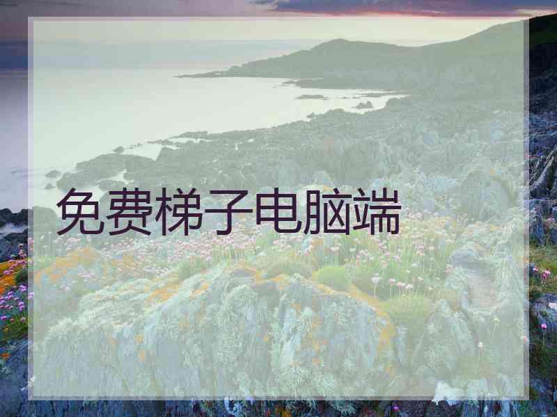 免费梯子电脑端