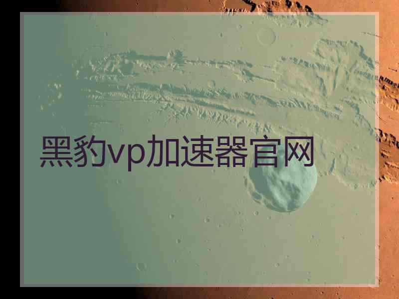 黑豹vp加速器官网