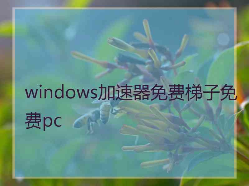 windows加速器免费梯子免费pc