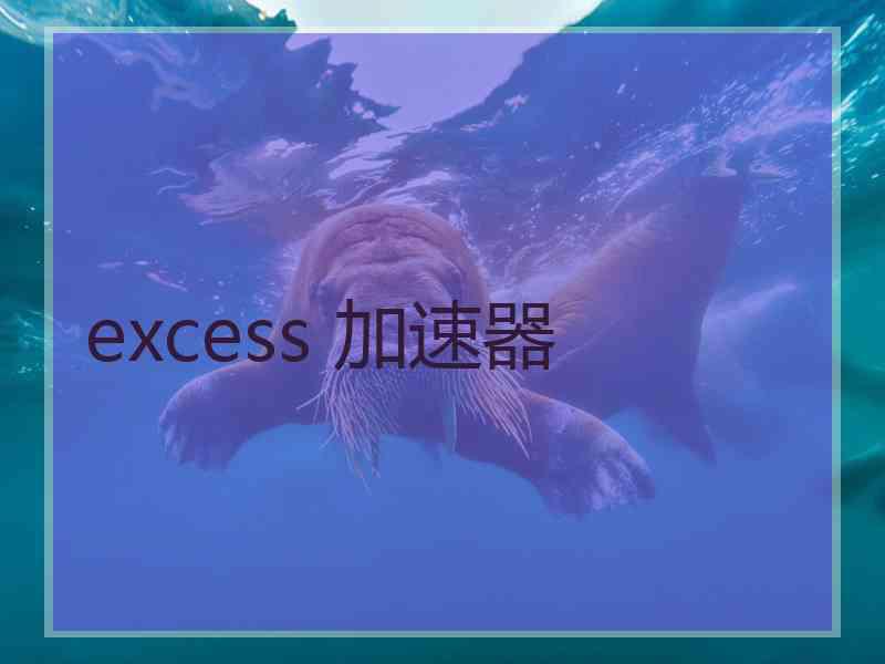 excess 加速器