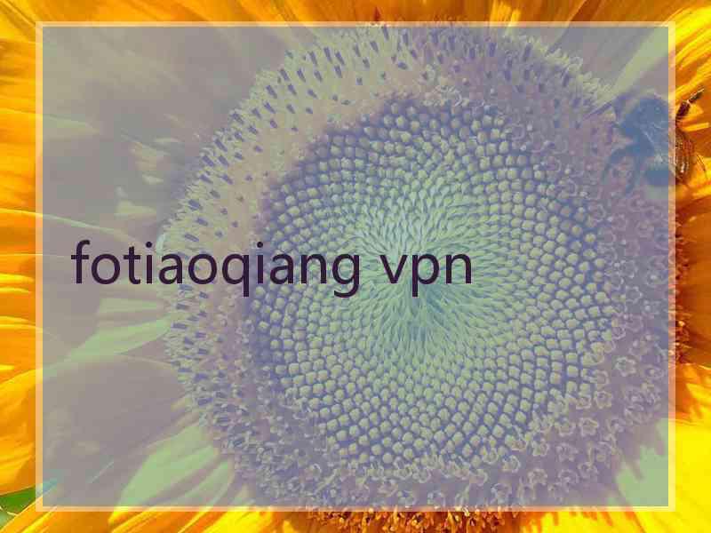 fotiaoqiang vpn