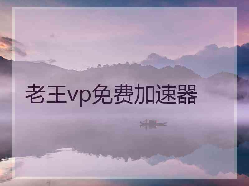 老王vp免费加速器