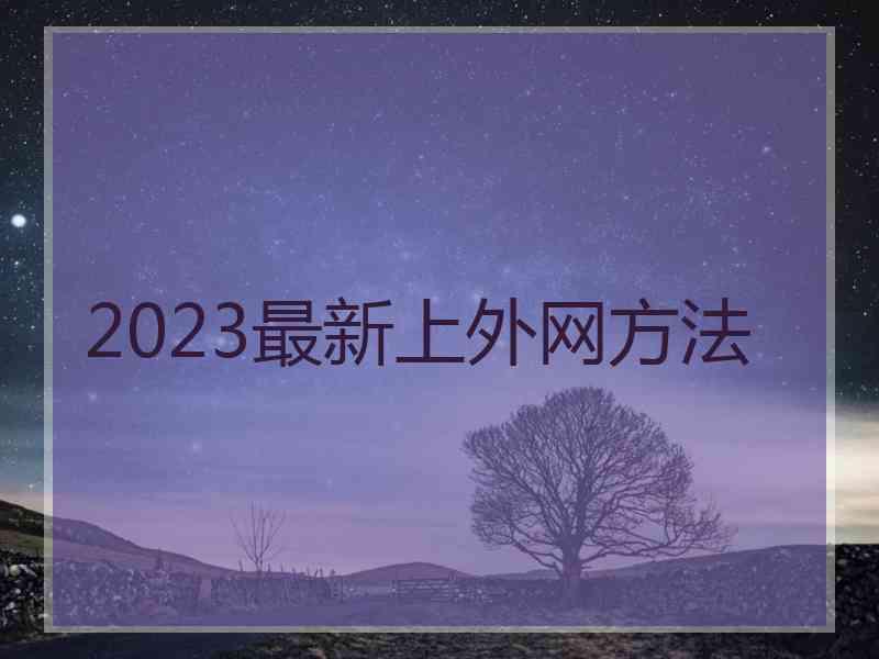 2023最新上外网方法