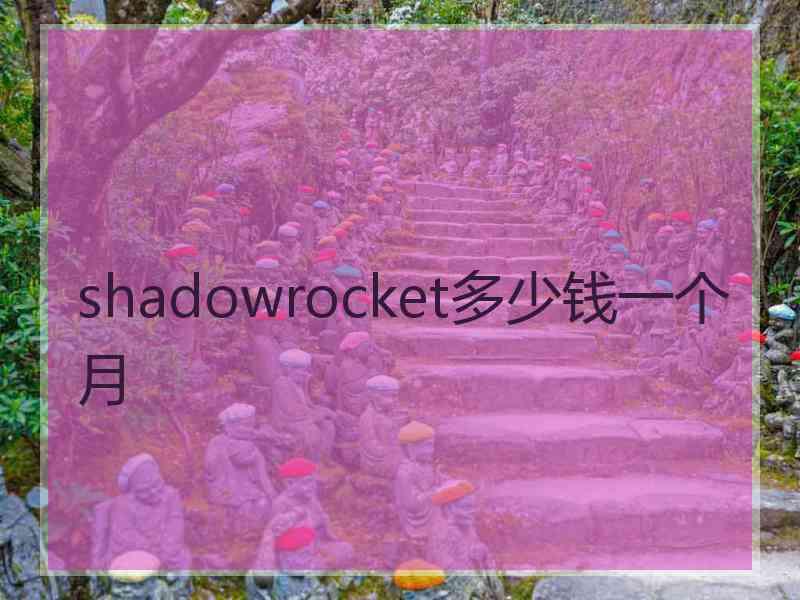 shadowrocket多少钱一个月