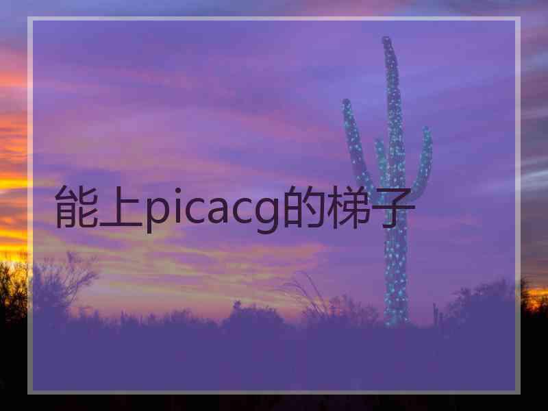 能上picacg的梯子