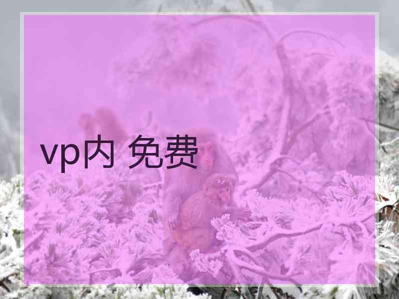 vp内 免费