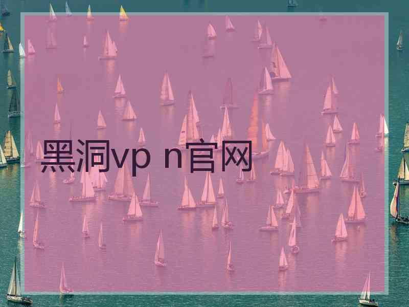 黑洞vp n官网