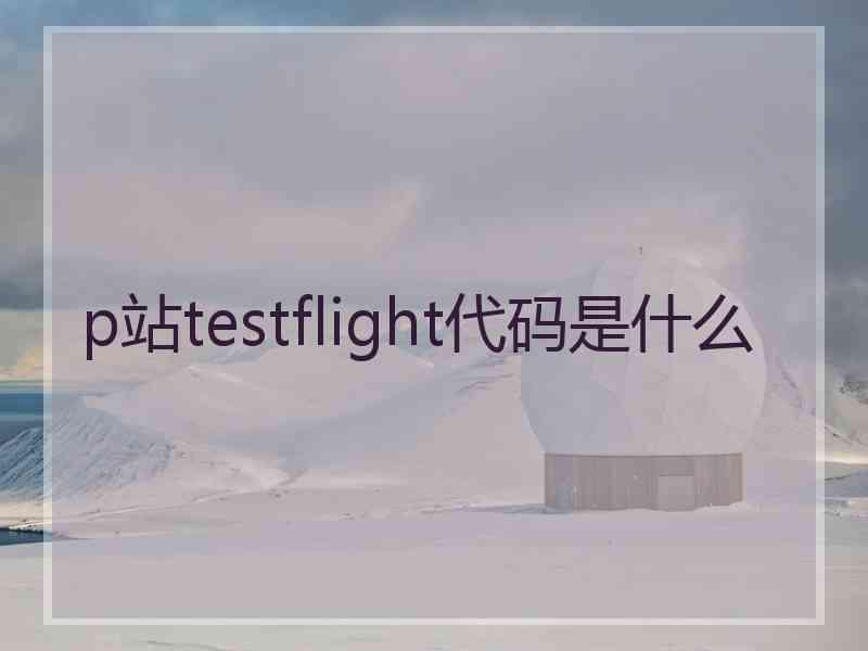 p站testflight代码是什么