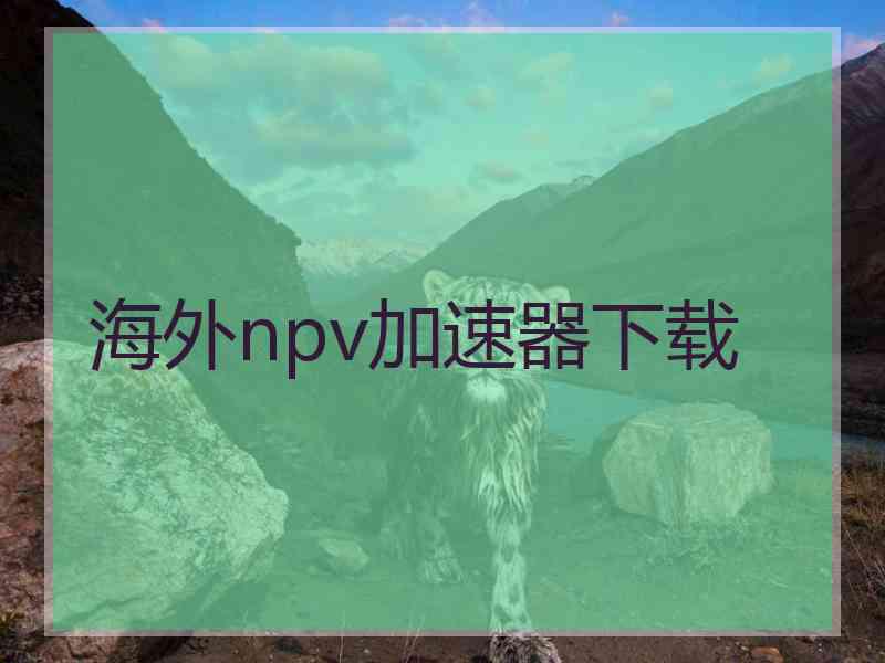 海外npv加速器下载