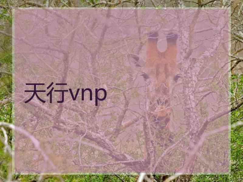 天行vnp