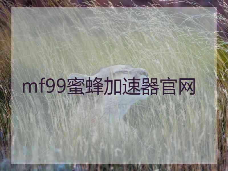 mf99蜜蜂加速器官网