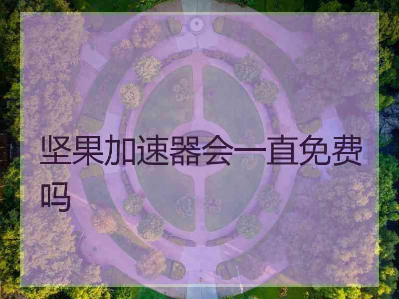 坚果加速器会一直免费吗