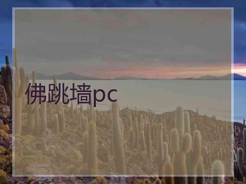 佛跳墙pc