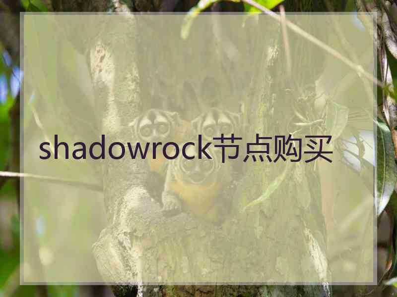 shadowrock节点购买