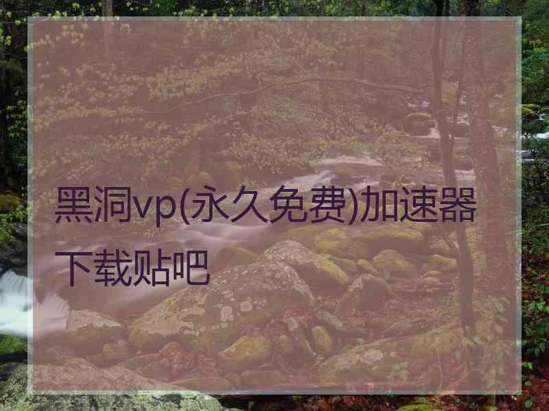 黑洞vp(永久免费)加速器下载贴吧