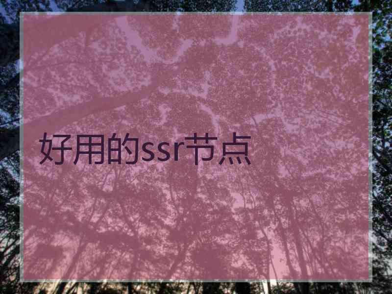 好用的ssr节点