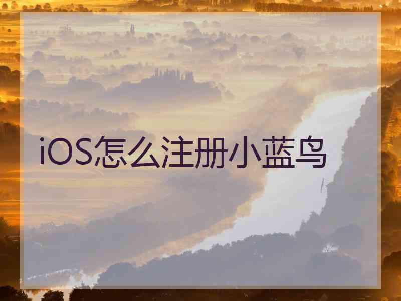 iOS怎么注册小蓝鸟