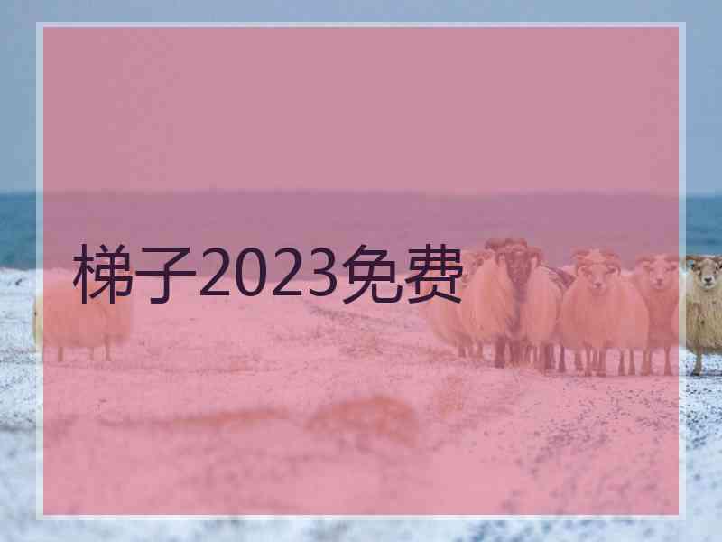 梯子2023免费