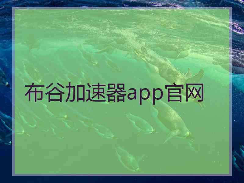 布谷加速器app官网