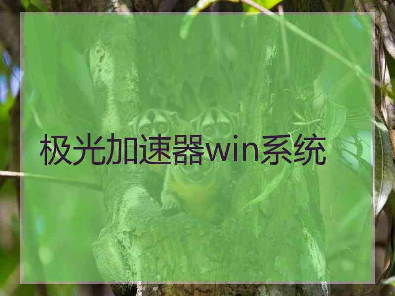 极光加速器win系统