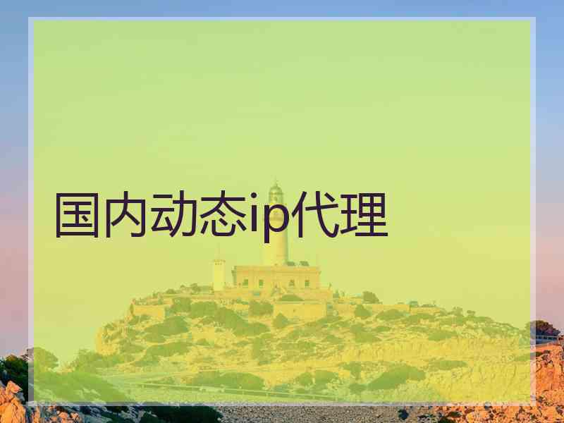 国内动态ip代理