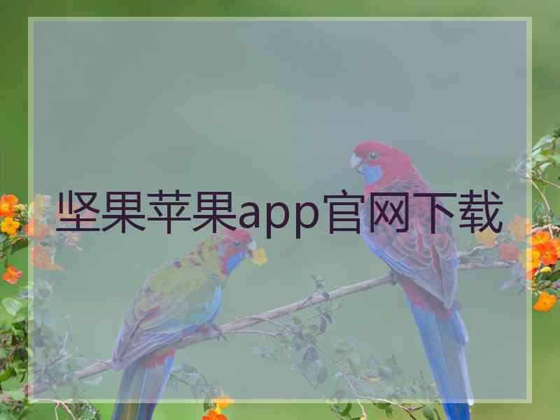 坚果苹果app官网下载